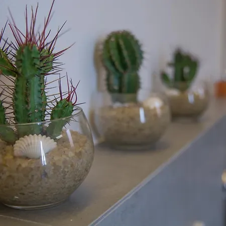 Albatros 4* Varigotti